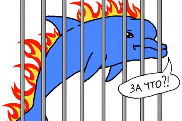 Кракен не заходит