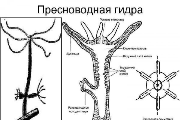 Ссылка адрес на кракен