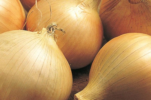 Кракен дарк ссылка