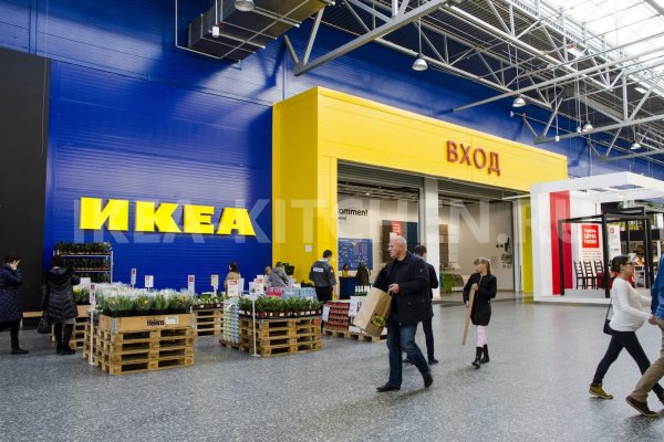 Darknet как войти