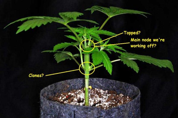Как войти на сайт кракен