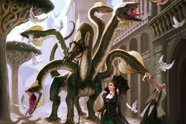 Kraken 6 at