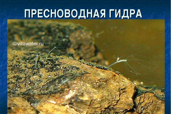 Kra33.cc Вход на сайт главная страница