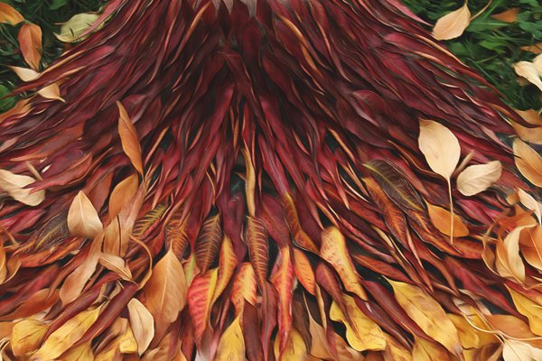 Официальный сайт даркнет