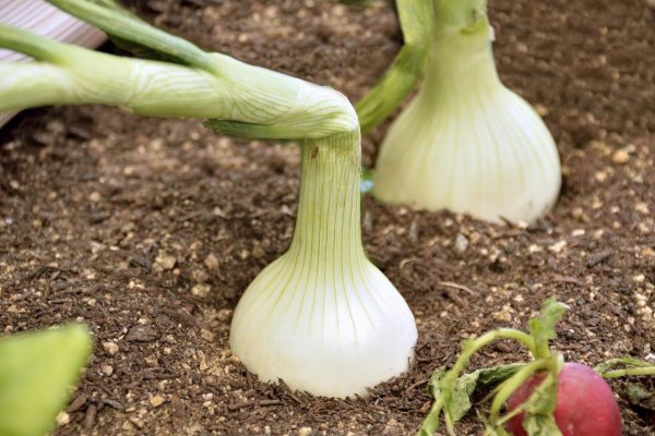 Кракен маркетплейс krk store com