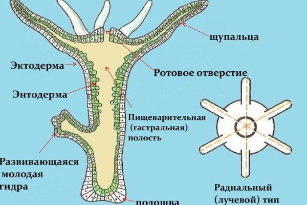 Как вывести деньги с кракена маркетплейс