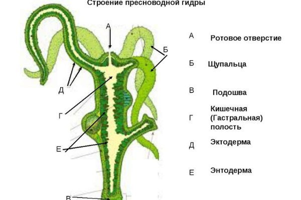 Кракен тор маркет пв