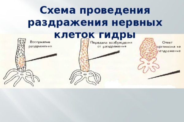 Как восстановить доступ к аккаунту кракен