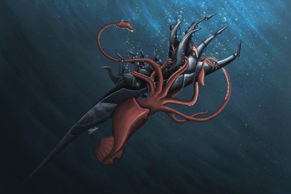 Кракен лучший маркетплейс