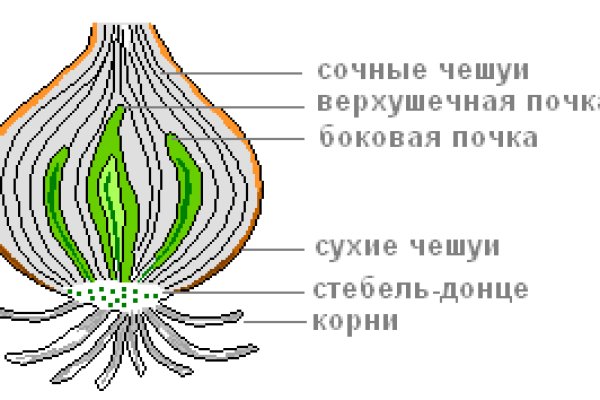 Кракен зеркала официальные